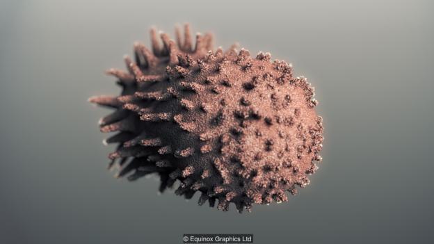 যেভাবে জীবনের শুরু: পৃথিবীতে প্রাণের উৎপত্তি