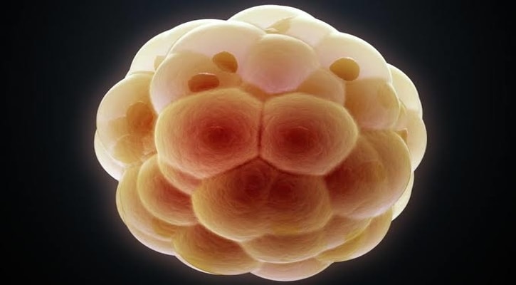 কুরআন এবং ভ্রূণের বিকাশঃ নুতফা পর্যায়