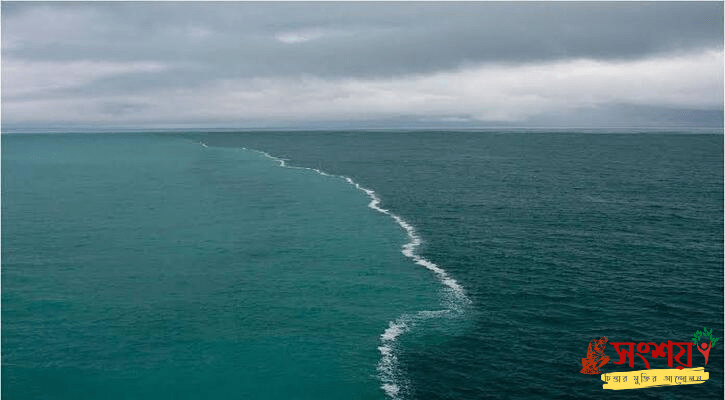 দুই সমুদ্রের পানি একত্রিত হয় না?