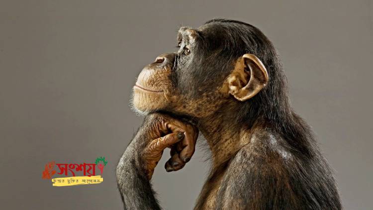 আমাদের নীতি-নৈতিকতার উৎস ধর্ম নয়