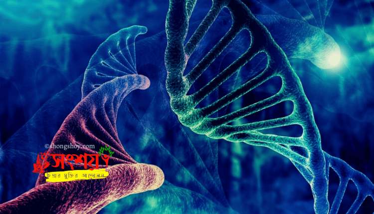 আবর্জনা (junk) ভরা DNA আর 2007 সালে প্রকাশিত ENCODE প্রোজেক্টের দ্বন্দ্ব